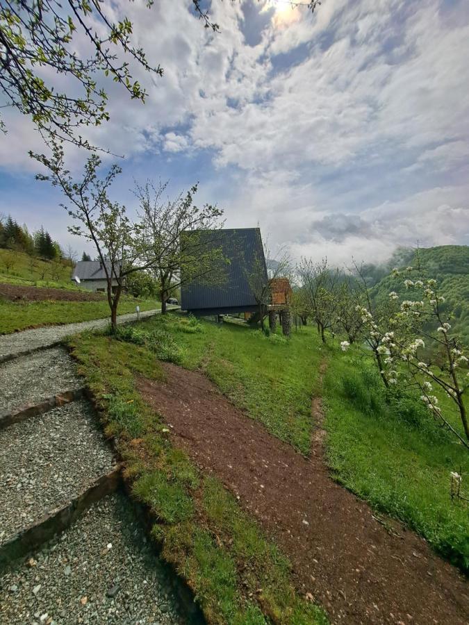 Fern Farm Tiny Home Mojkovac Exterior photo